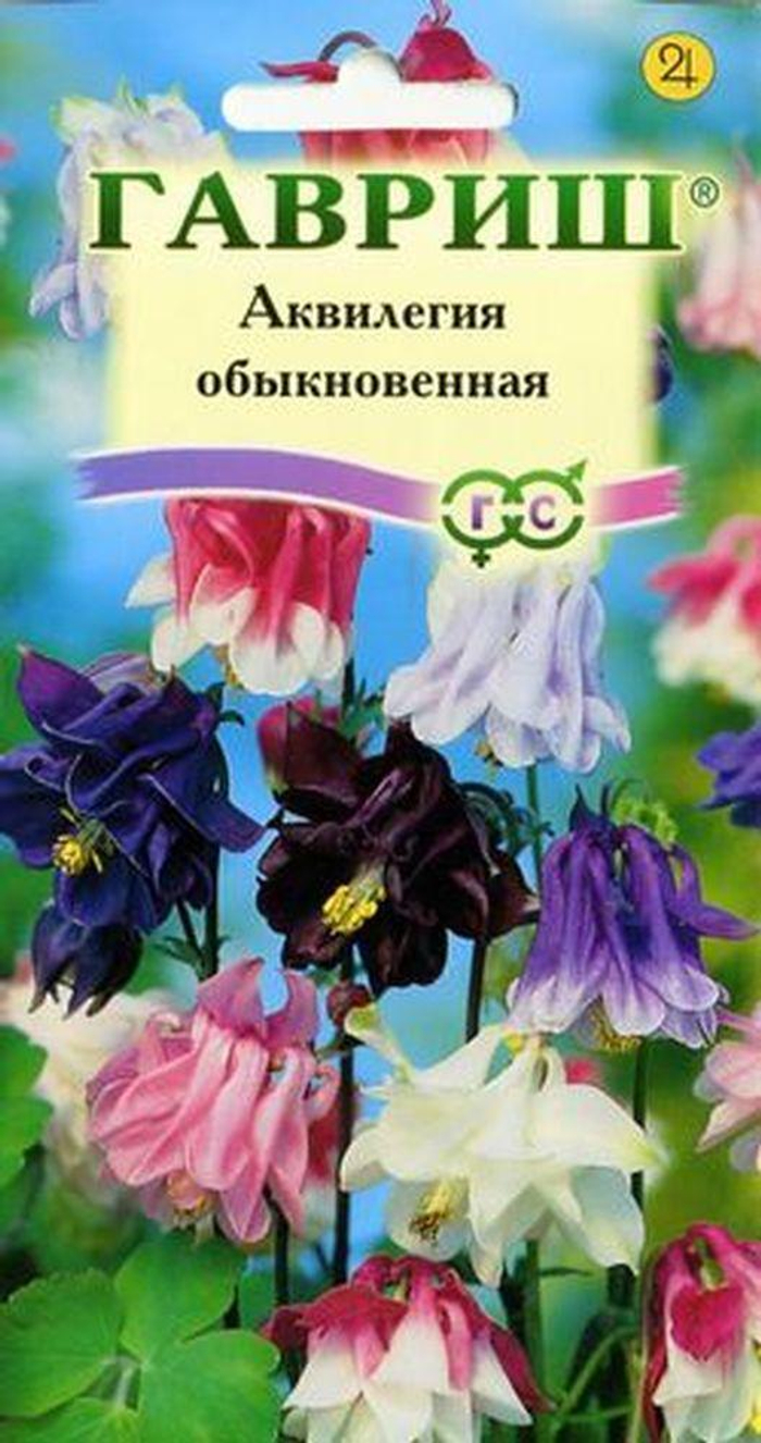 АКВИЛЕГИЯ ОБЫКНОВЕННАЯ ГАВРИШ 17.56 5587