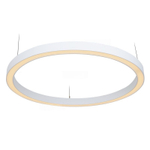 Светильник LED кольцевой Ring 50W D600мм*61 4000К белый накладной IP40