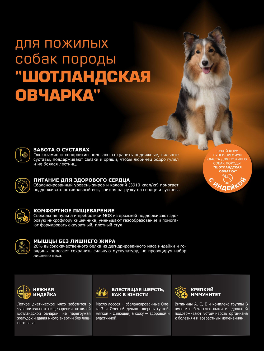 Корм сухой для пожилых собак породы Шотландская овчарка старше 5 лет, с индейкой, 3 кг, QUATTRO