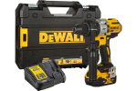 Шуруповерт аккумуляторный DeWalt DCD996P1 (1 акк., з/у), кейс