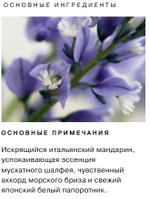 Elizabeth Arden Дезодорант с экстрактом белого чая 40 мл (Испания)