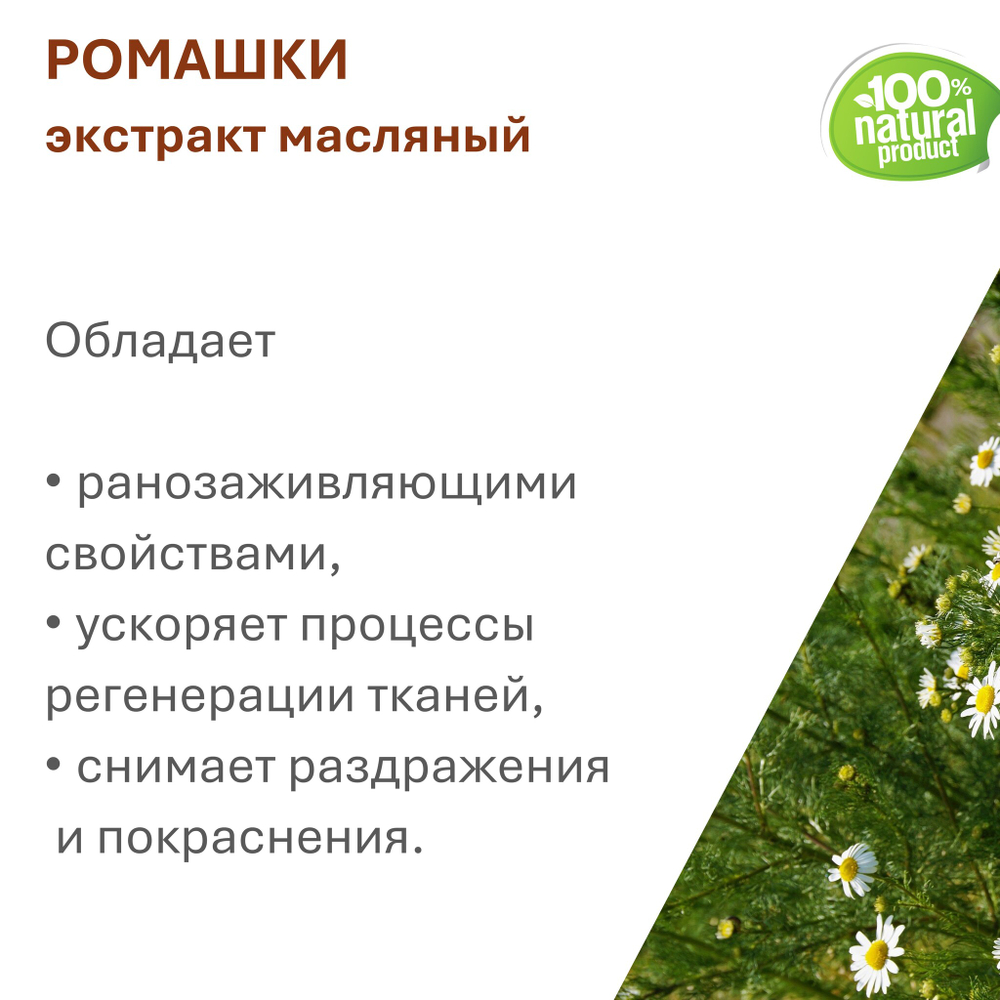 Экстракт ромашки, масляный