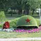 Фигура топиари "Каска с гвоздикой"