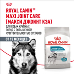 Royal Canin Maxi Joint Care Макси Джойнт кэа Корм сухой для взрослых собак крупных размеров с повышенной чувствительностью суставов 10кг