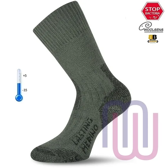 Носки Lasting TXC 620, wool+acryl, зеленый