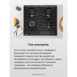 Газовая панель Hansa BHGS611391