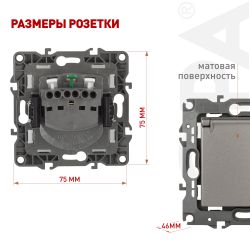 Розетка ЭРА Серия 12 12-2103-16 2P+E Schuko со шторками с крышкой 16А-250В титан | Эра 12