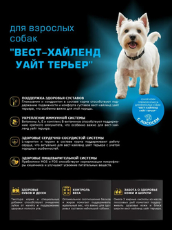 Корм сухой для взрослых собак породы Вест-хайленд уайт терьер, с лососем, 12 кг, QUATTRO