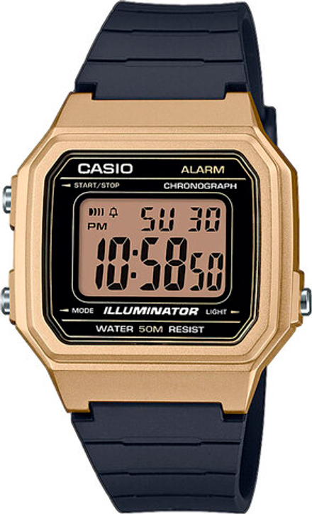 Часы Casio W-217HM-9AVEF