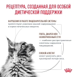 Сухой корм Royal Canin Gastrointestinal 350г