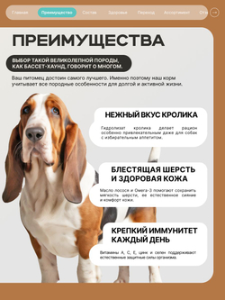 Корм для взрослых собак породы Бассет-хаунд, с кроликом, 3 кг, QUATTRO
