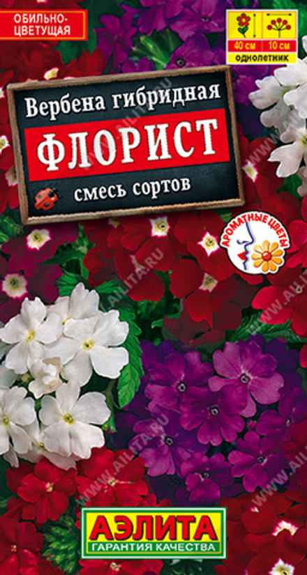 Вербена Флорист гибридная смесь окрасок 40шт Аэлита