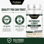 Probase Nutrition, Наттокиназа, 120 капсул (100 мг на капсулу)
