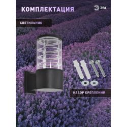 Светильник уличный настенный ЭРА «Асия» GBW-108-BL-0200 230В 1хЕ27 IP54 вверх черный | Садово-парковые светильники