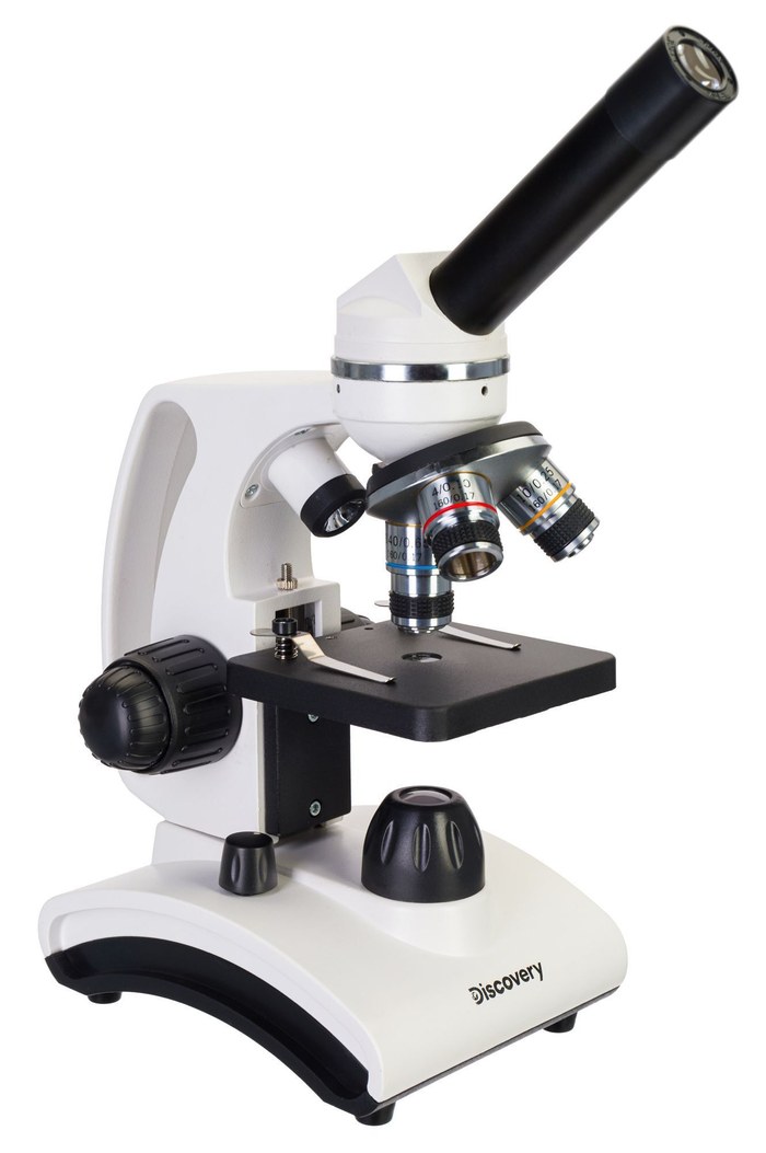 Микроскоп Levenhuk Discovery Femto Polar с книгой