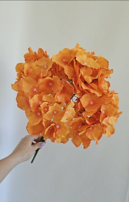 Гортензия / Арт 2606