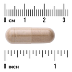 Swanson Vitamins, Full Spectrum® комплекс из трех грибов, 60 капсул