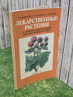 Лекарственные растения в лечении заболеваний органов