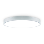 Потолочный светодиодный светильник Freya Sprida FR6129CL-L80GR