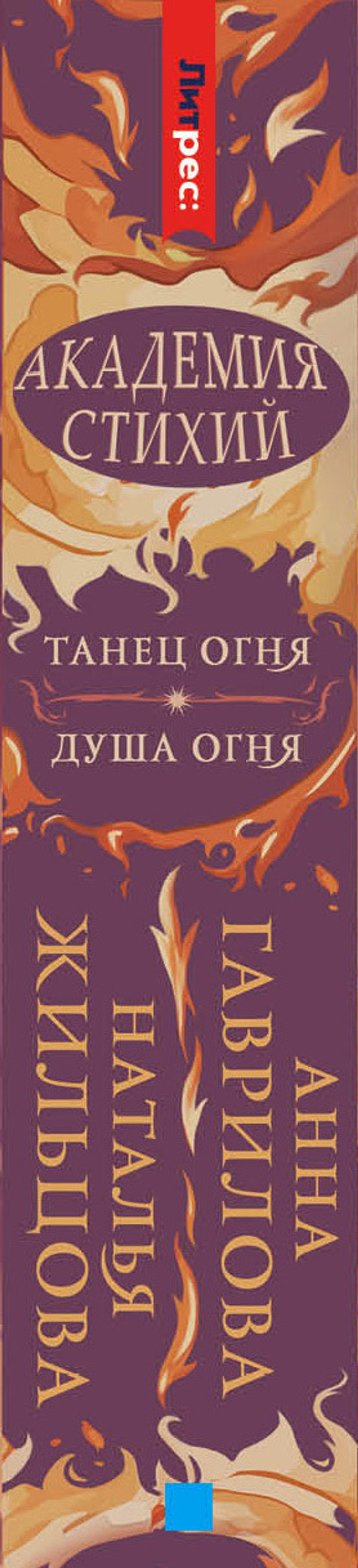 Академия стихий. Танец огня. Душа огня
