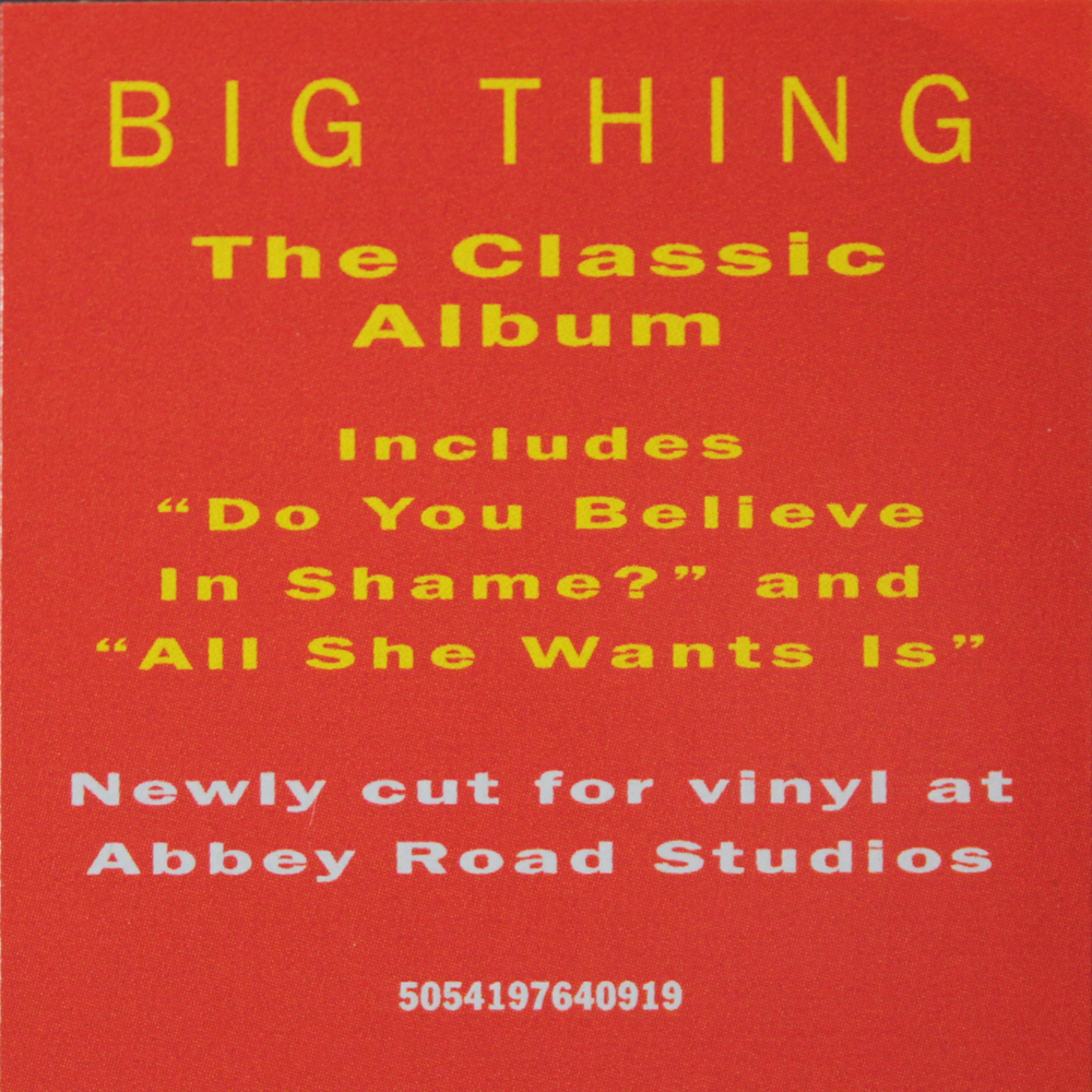 Duran Duran / Big Thing (LP)