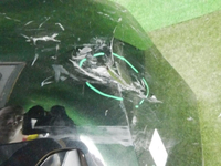 DSCN5079.jpg