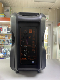 Портативная колонка Big Sound DG-1013