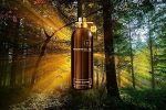 Montale Aoud Forest EDP