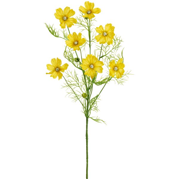 Цветок декоративный Fiebiger Floristik: Космея