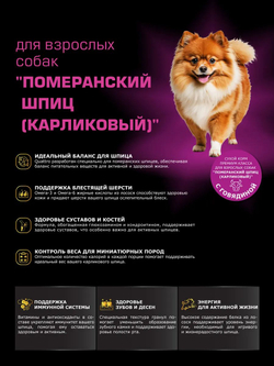 Корм сухой для взрослых собак породы Померанский шпиц (карликовый), с говядиной, 800 гр, QUATTRO