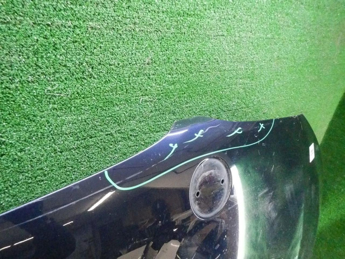 DSCN6050.jpg