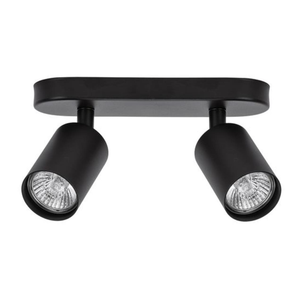 Настенно-потолочный светильник Arte Lamp AQUARIUS A3226PL-2BK