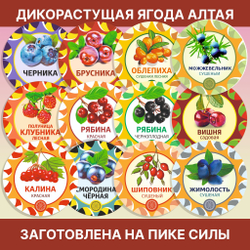 Шиповник Уссурийский, плоды сушеные.