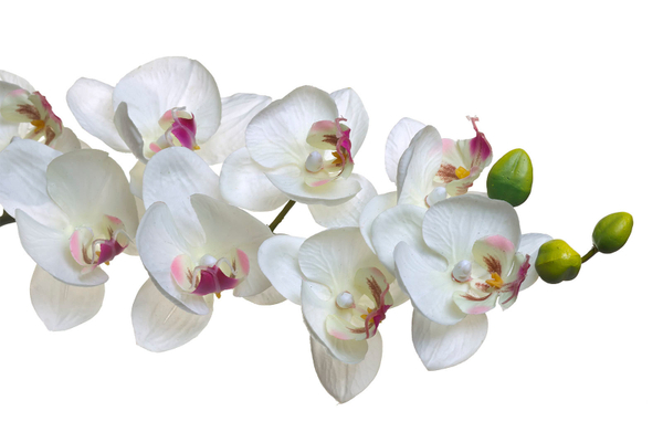 Искусственный цветок Орxидея белая 85см Garda Decor 8J-1219S0003