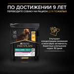 Корм сухой для взрослых собак мелких и карликовых пород Pro Plan Duo Delice с высоким содержанием говядины, пакет 700г