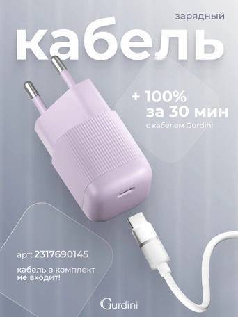 Сетевая зарядка Gurdini Mini Wave 20W USB-C ( 1 port) cиреневый