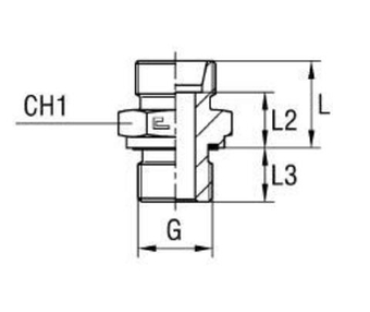 Штуцер FE DS38 BSP 1.1/2 (корпус)
