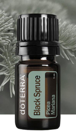 Набор doTERRA диффузор-шишка и черная ель, Black Spruce, 5 мл