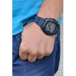 Часы CASIO HDD-600C-2A