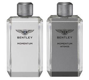 Bentley Momentum Intense