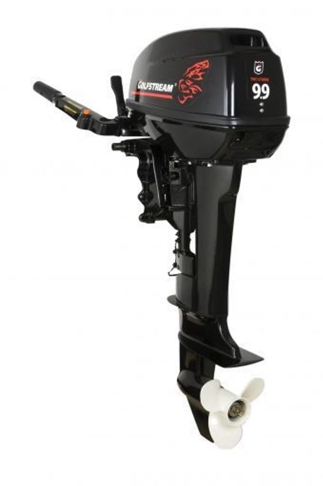 Лодочный мотор Golfstream T9.9 BMS (USB, 12V, тахометр)