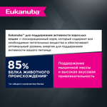 Eukanuba Adult Top Condition сбалансированный сухой корм для кошек 2 кг