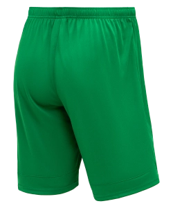 Шорты игровые DIVISION PerFormDRY Union Shorts, зеленый