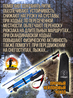Палки для трекинга, скандинавский ходьбы/ телескопические Carbon pole EVA grip /2 шт, цвет черный