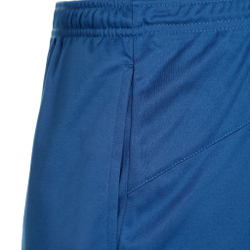Мужские теннисные шорты Lotto Squadra III 7in Shorts Men - Blue