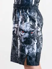Шорты для MMA Rusco Sport CERBERUS, детские