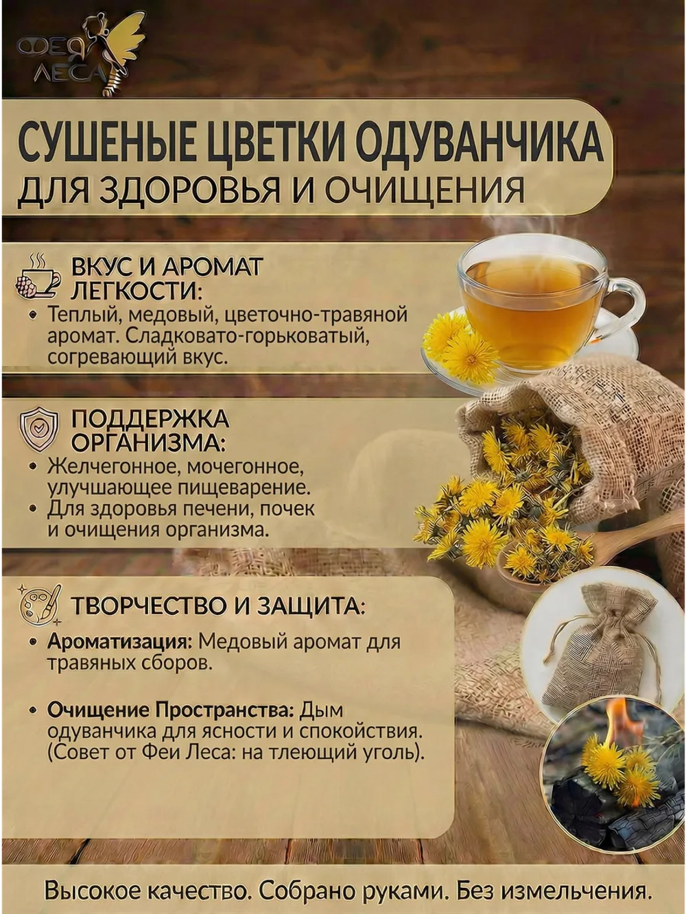 Одуванчик цветки для флористики и творчества