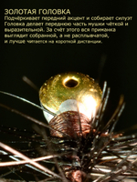 Мормышка Королевский муравей черный кардинал