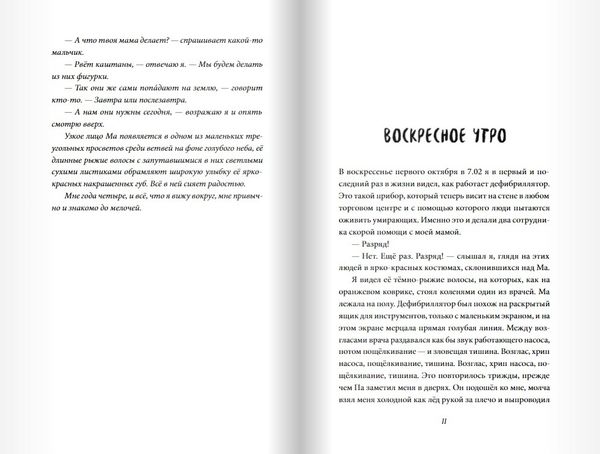 Большая чёрная птица