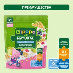 Каша Gipopo молочная мультизлаковая яблоко малина черная смородина 200г с 12 месяцев